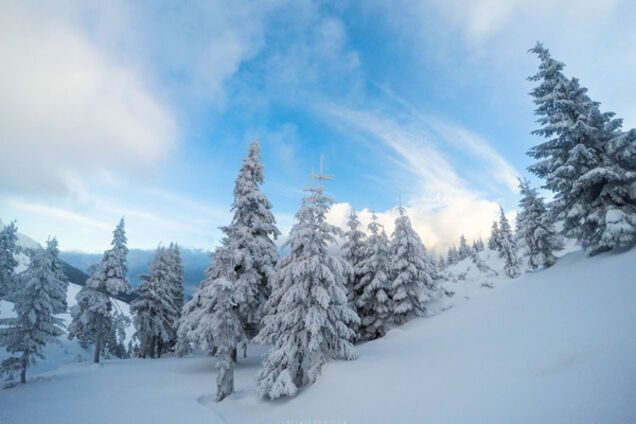 Карпаты зимой