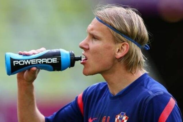 Домагой Вида