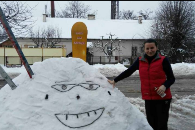 Флешмоб по уборке снега в Ужгороде