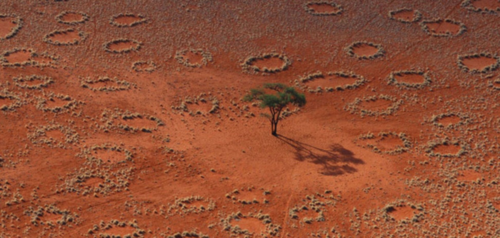 ведьмины круги