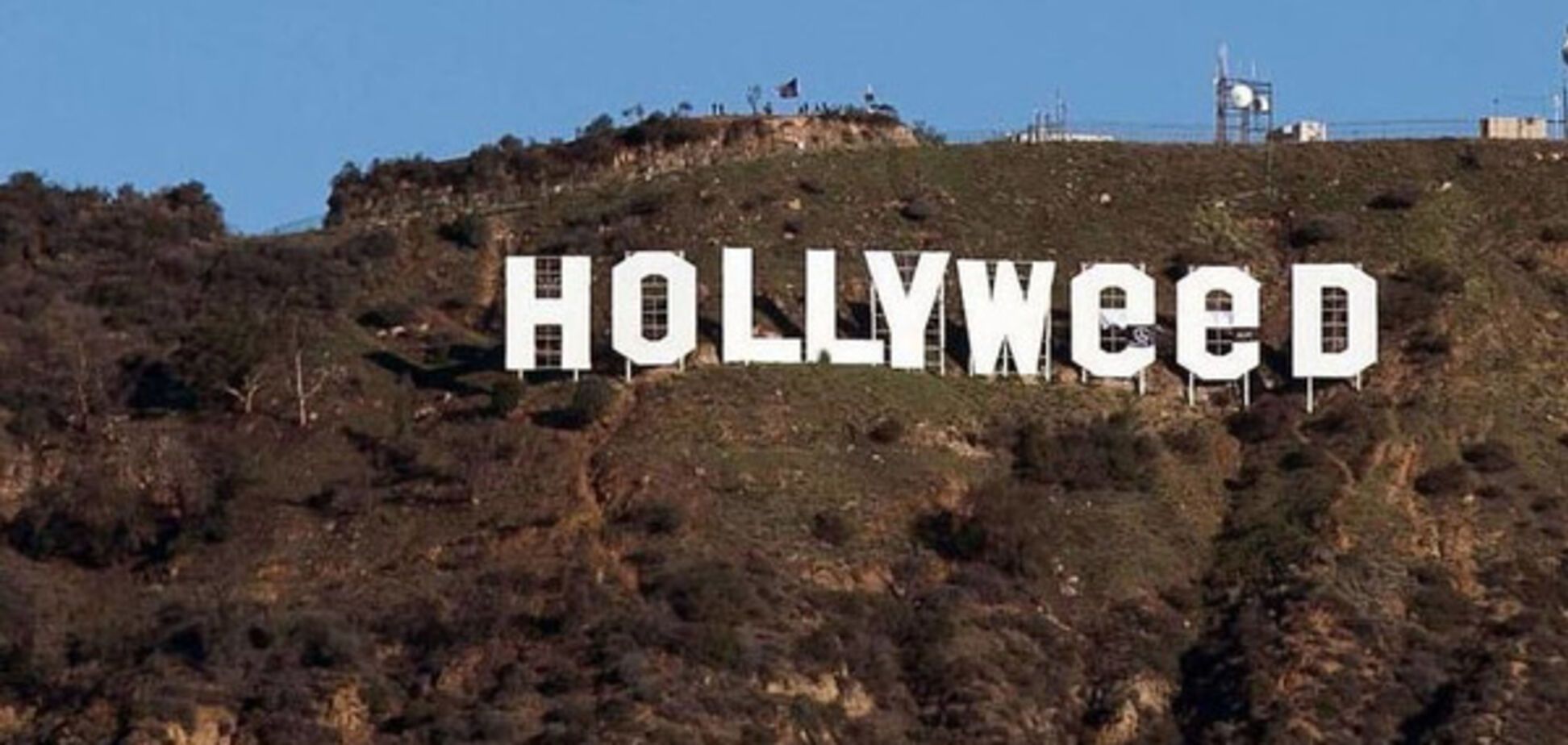 Hollyweed