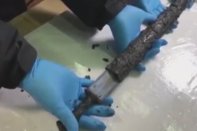 меч, археологи