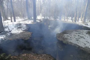 Под Львовом вандалы сожгли дотла музей УПА
