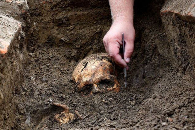 археологические раскопки и череп