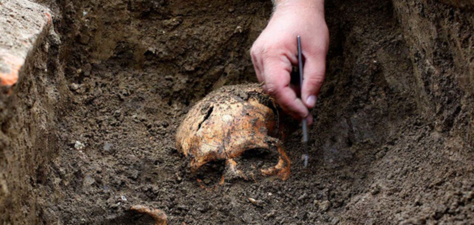 археологические раскопки и череп