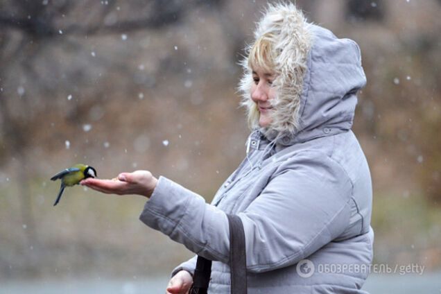 Погода в Україні сніг