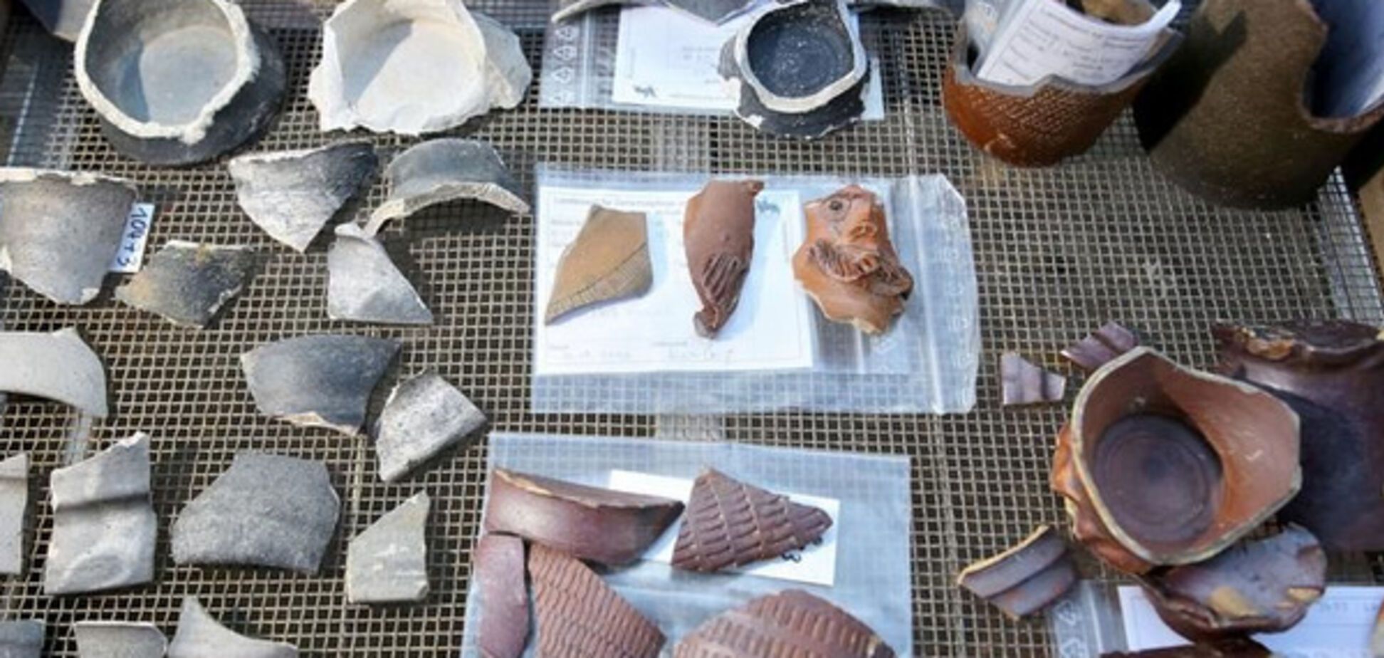 Археология, одноразовая посуда