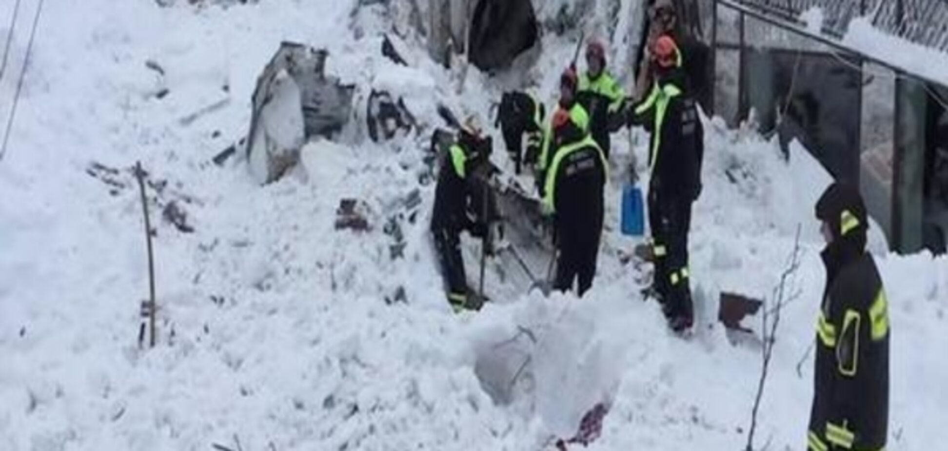 Лавина в Італії: з-під уламків готелю витягли трьох живих цуценят