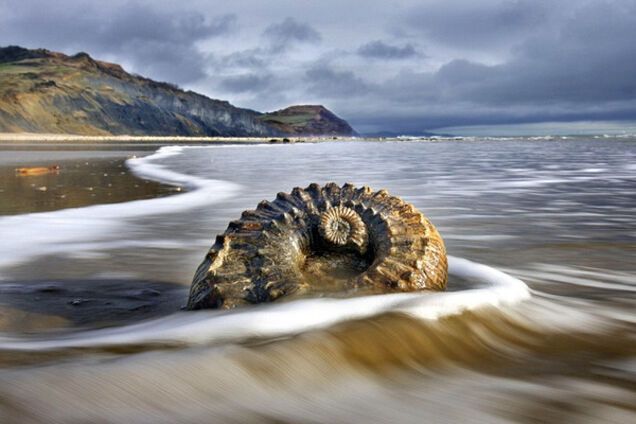 Лучшие пляжи мира: 15 живописных фото