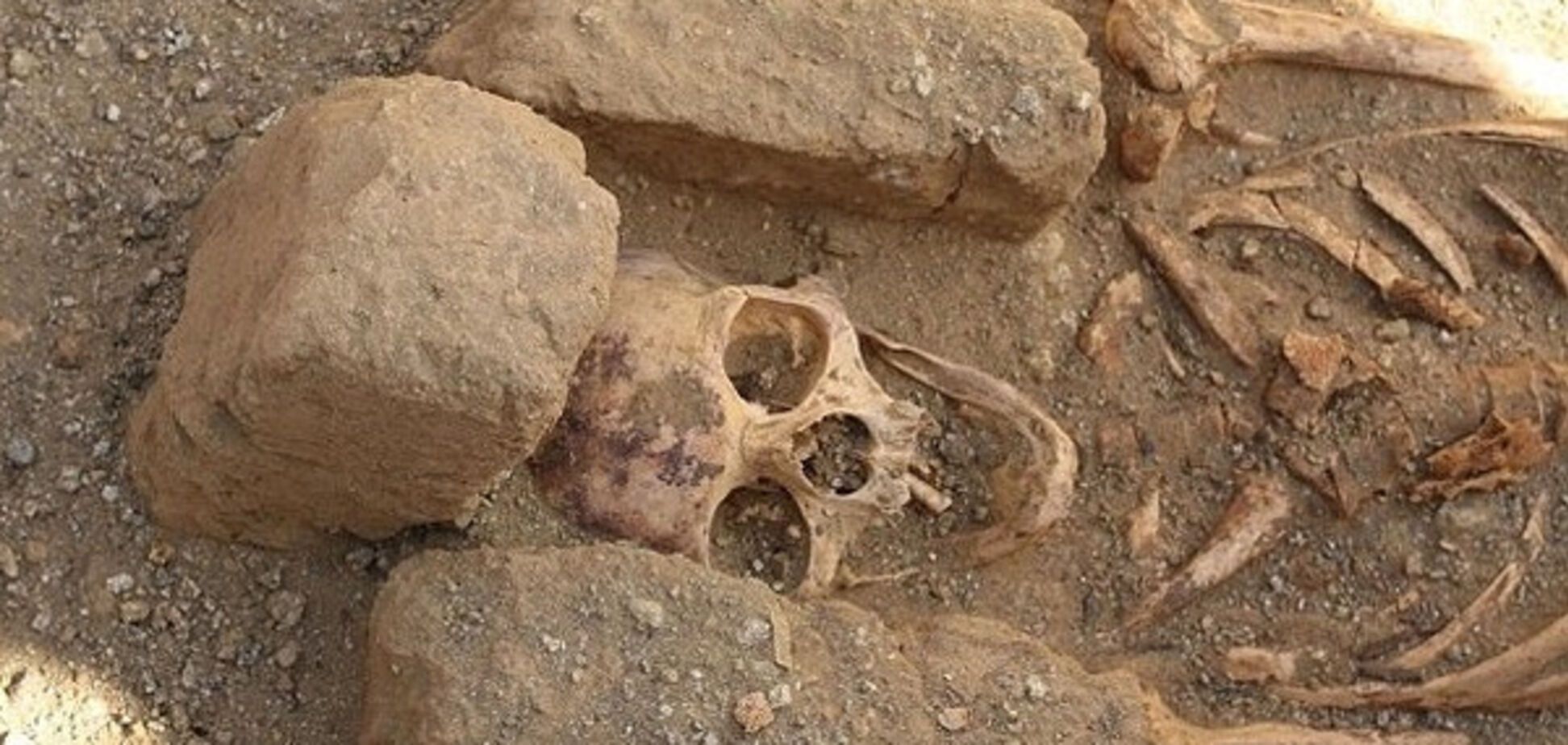 Скелет, археология