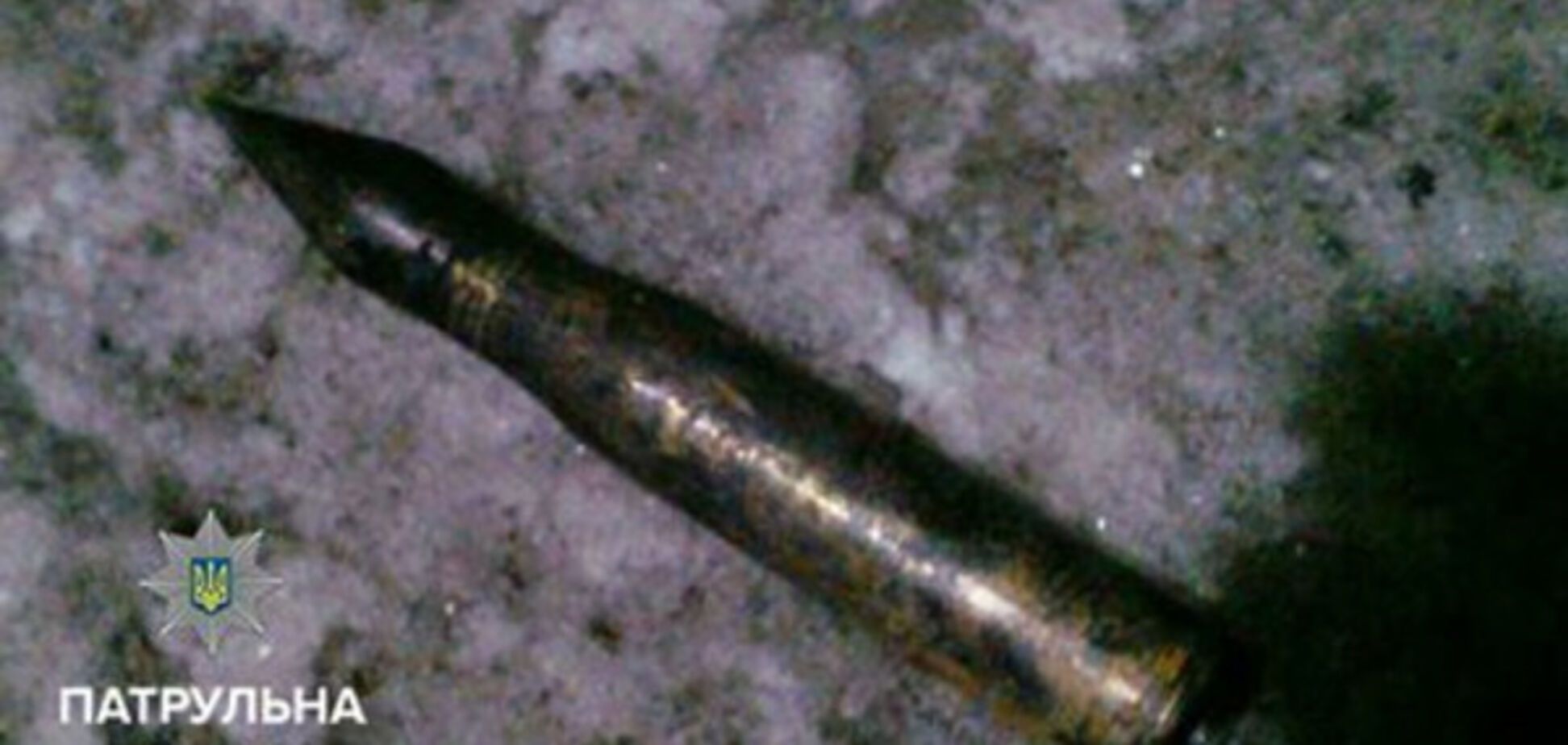 Запорожец нашел снаряд во время прогулки по 'Дубовой роще'