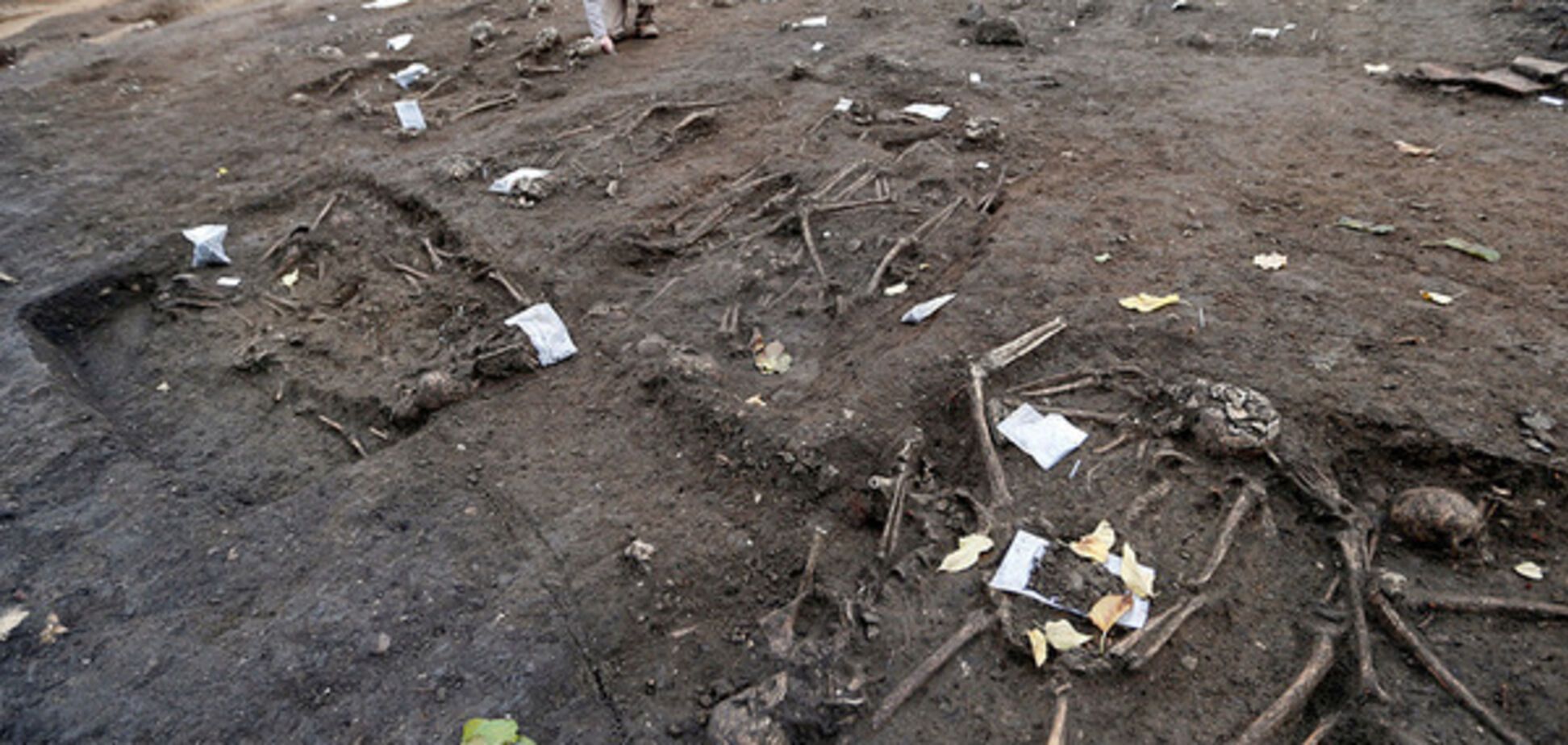 человеческие кости