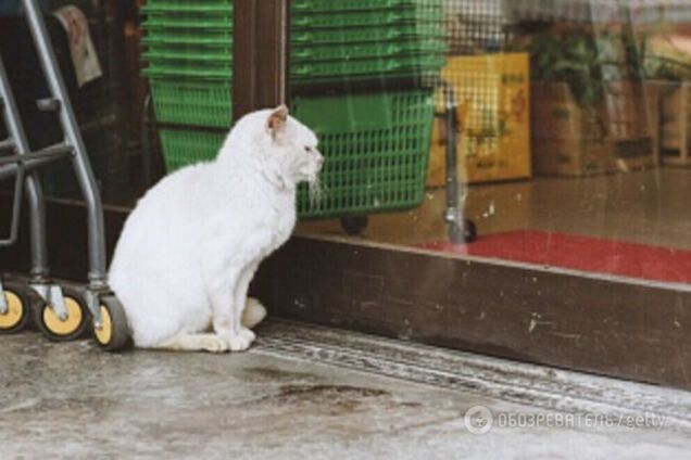 Супермаркет