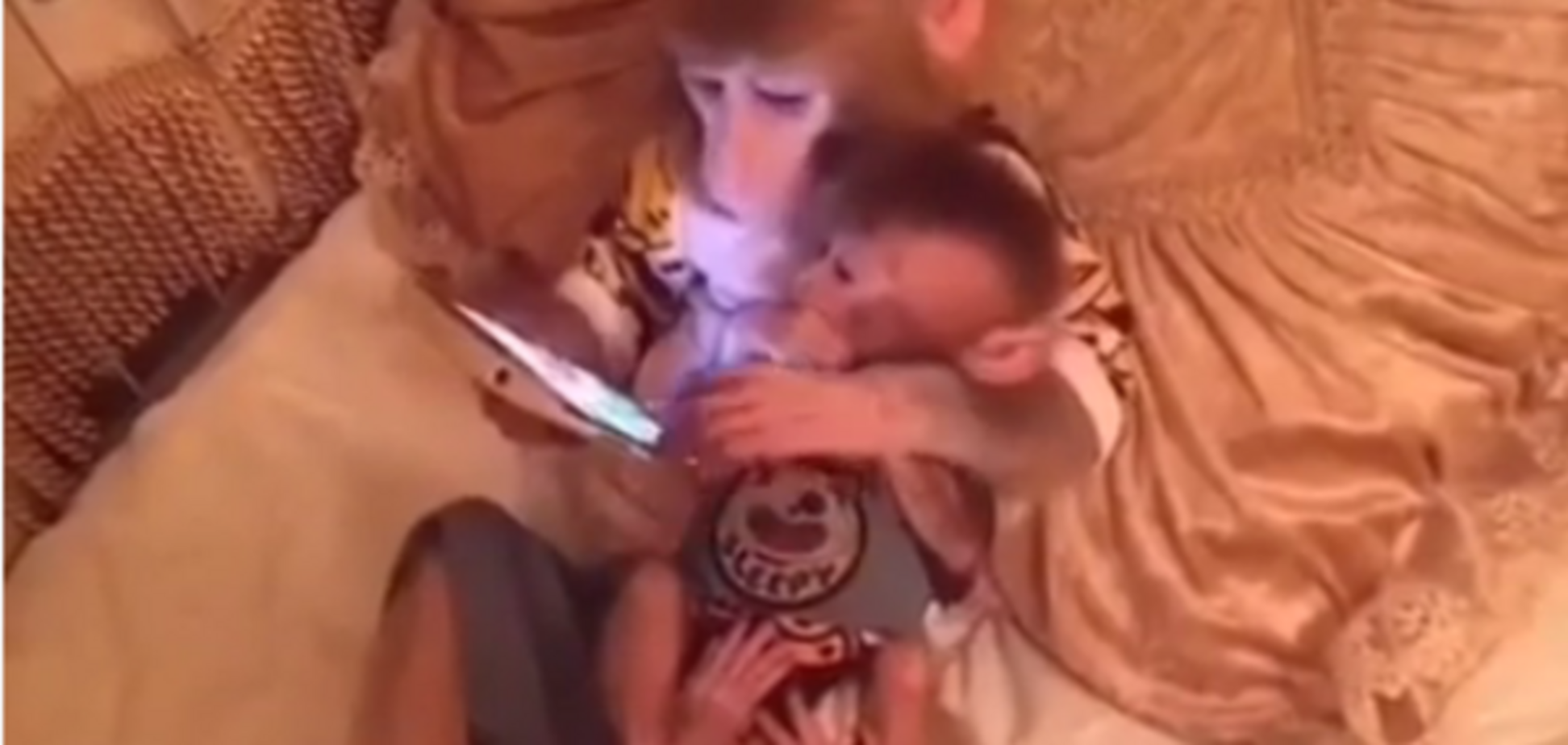 смартфон и мартышки