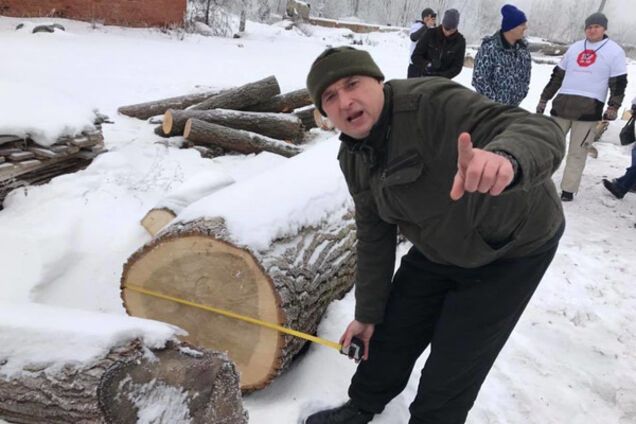 уничтожение леса Украина