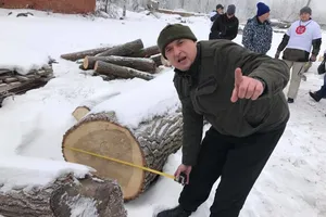уничтожение леса Украина