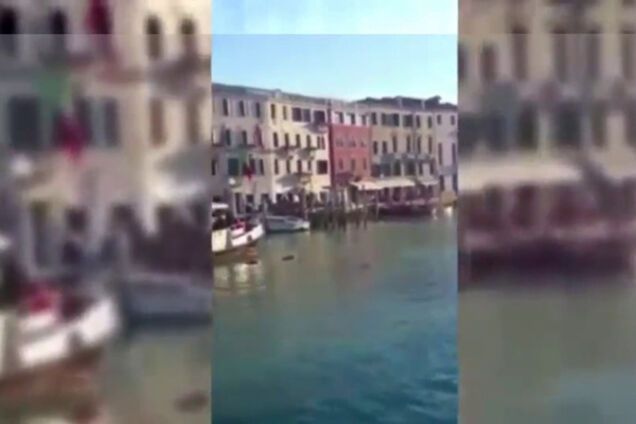 'Давай, плыви домой': в Венеции африканец утонул под хохот туристов