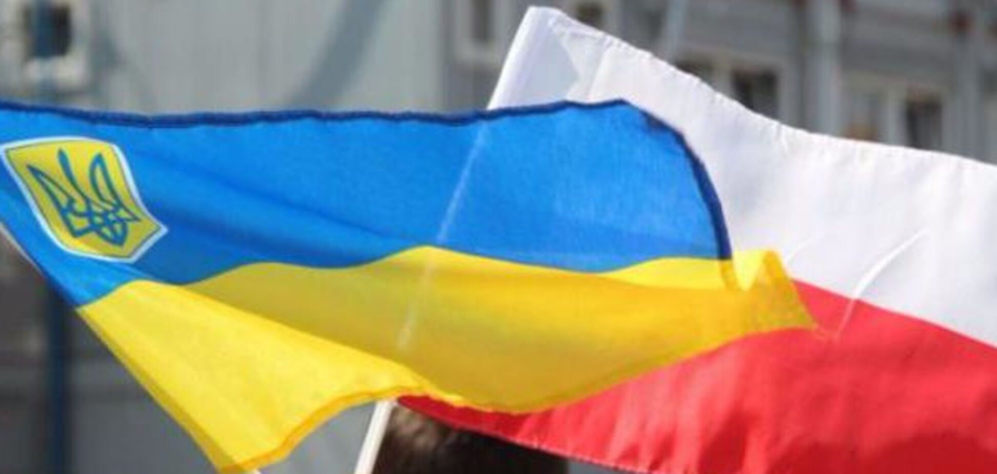 Украина Польша флаги