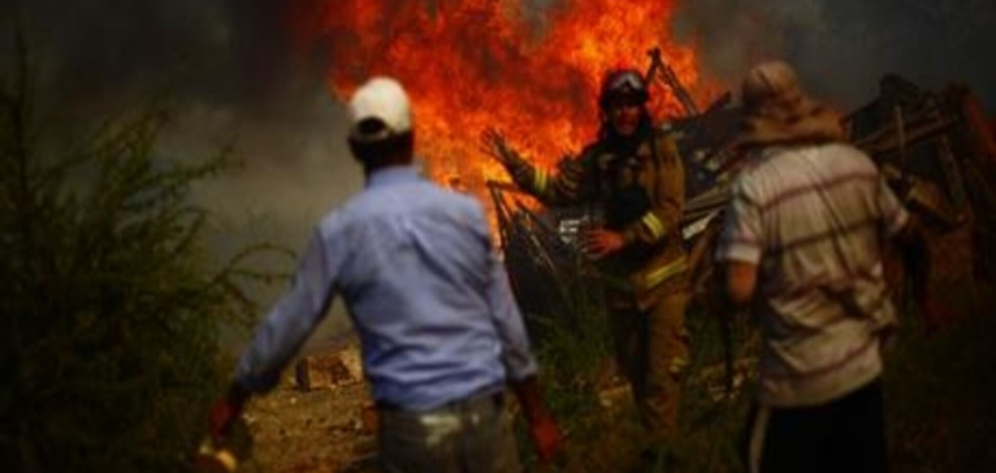 Масштабні лісові пожежі у Чилі: є загиблі