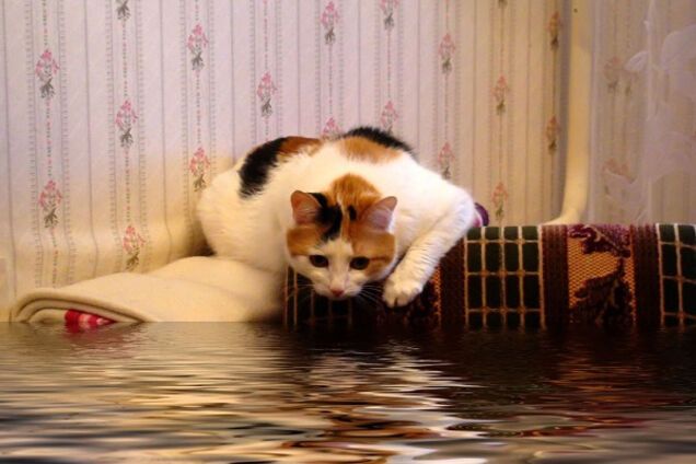 Бездействие коммунальщиков: запорожскую многоэтажку затапливало 13 часов