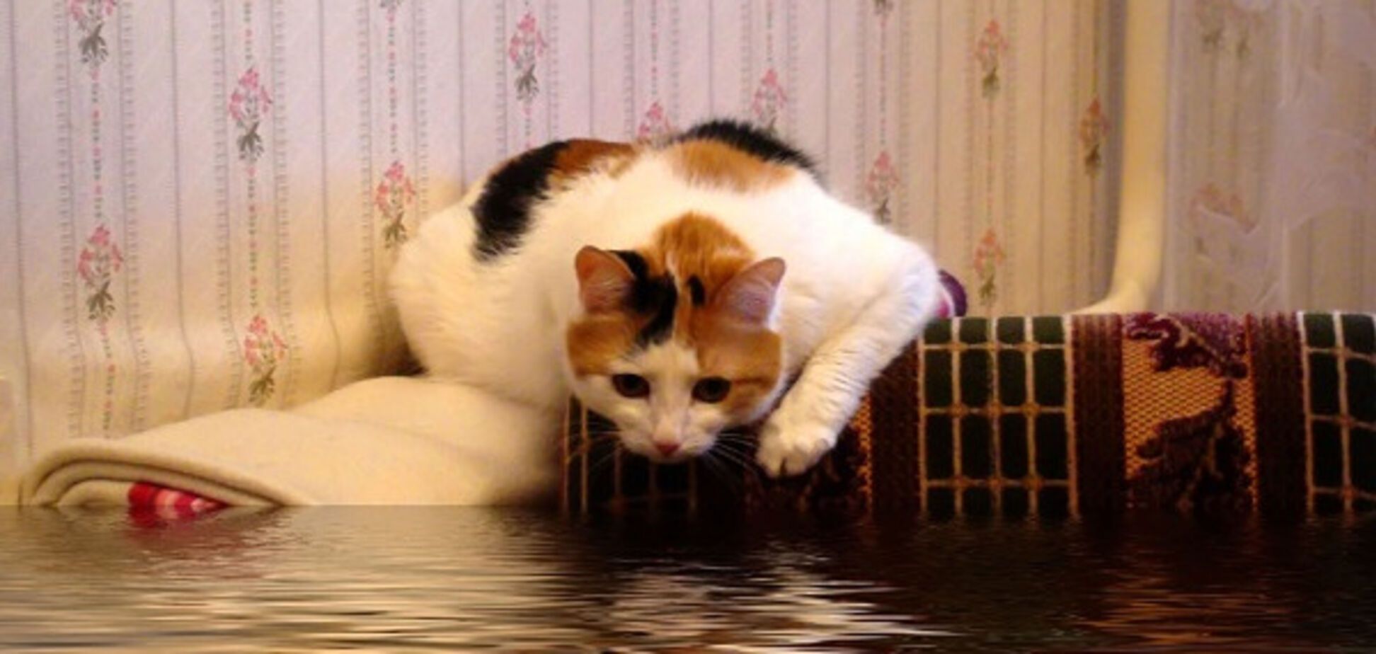 Бездействие коммунальщиков: запорожскую многоэтажку затапливало 13 часов