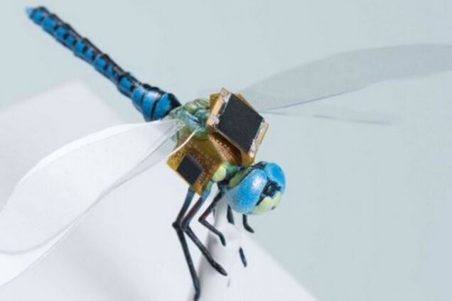 Стрекоза-киборг, наука