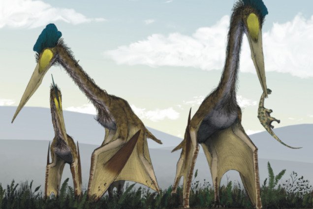 У Румунії знайдені останки величезних хижих птерозаврів