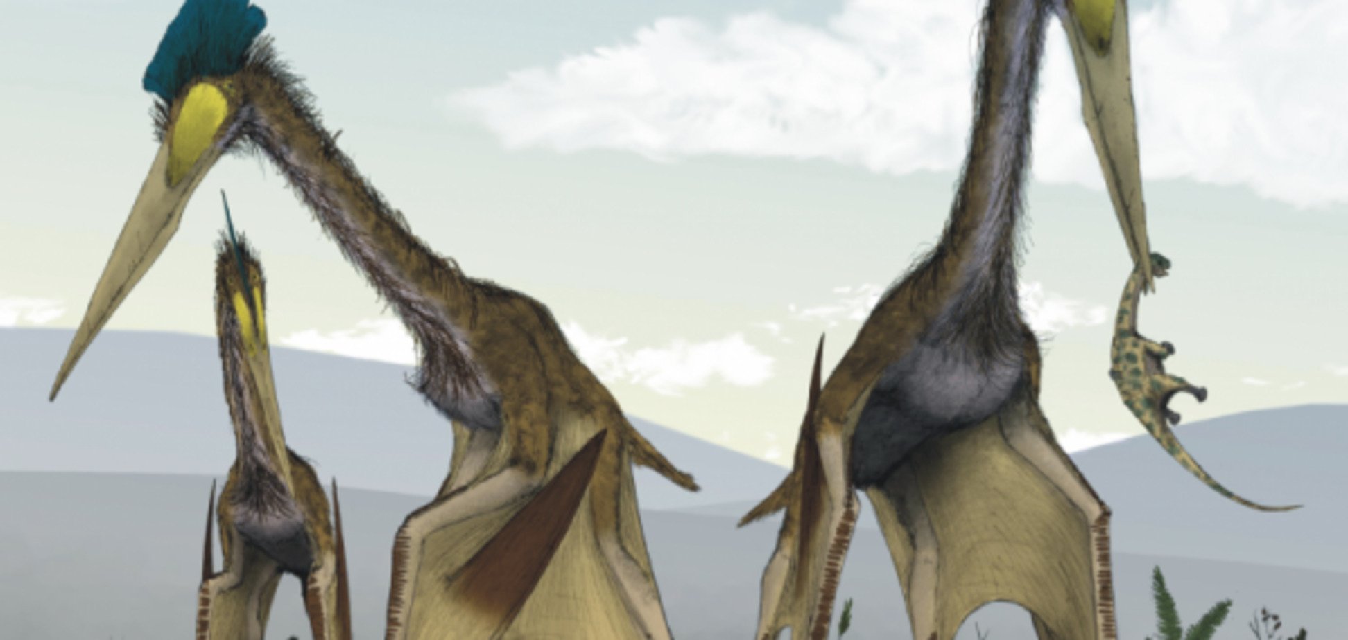 В Румынии найдены останки громадных хищных птерозавров