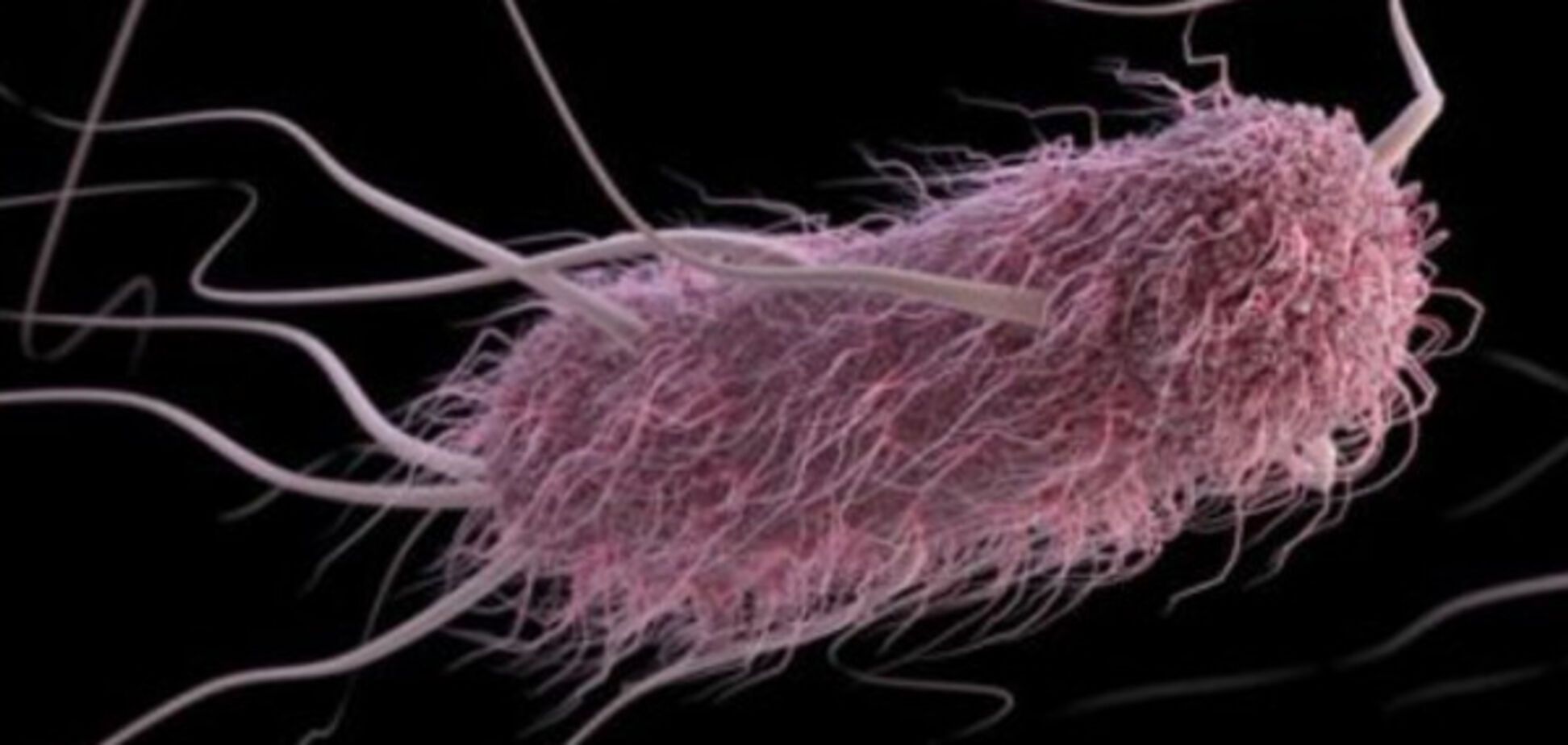 Искусственная клетка