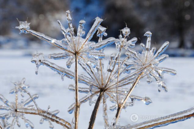 Прогноз погоды