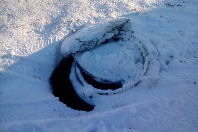 В Запорожье собаку вызволяли из беды