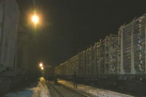 Лес