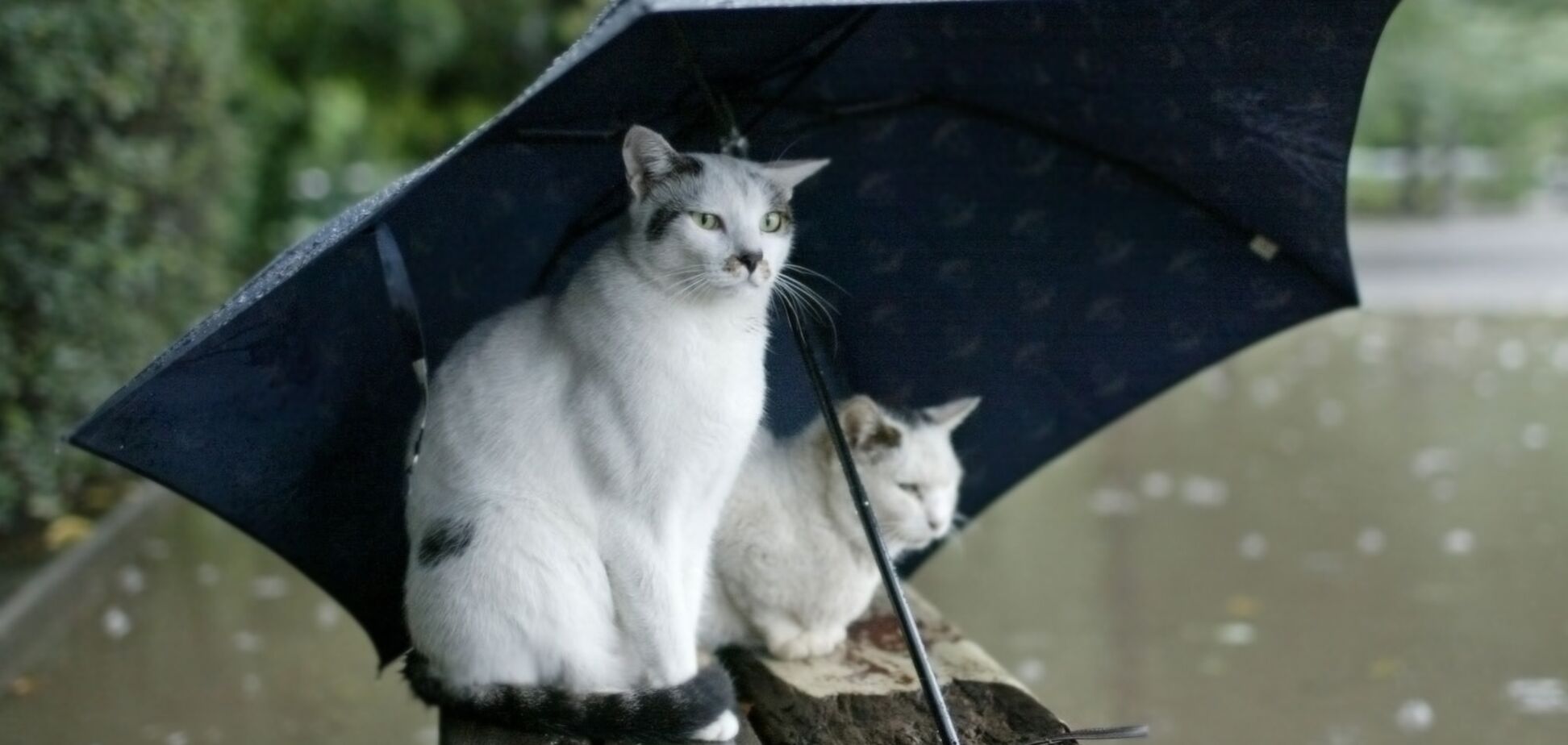 Погода в Украине