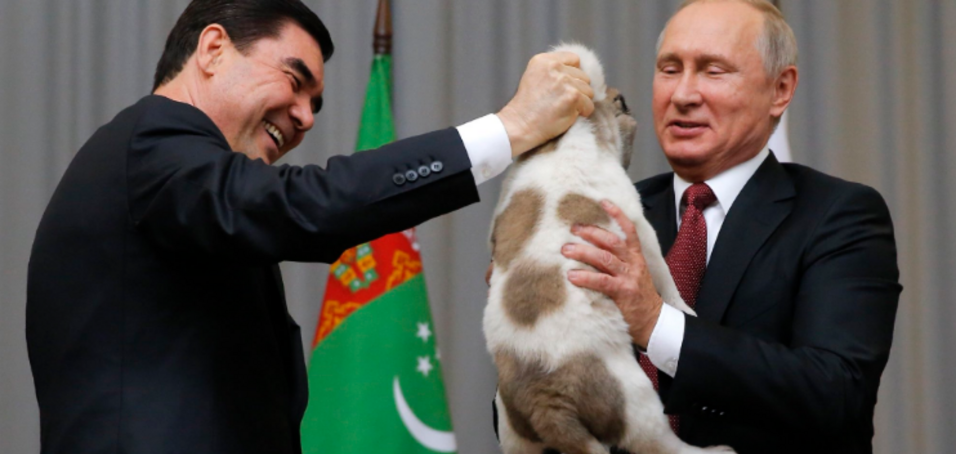 'Жалко собаку!' Путину подарили щенка алабая. Опубликованы фото