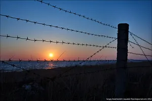 колючая проволока пейзаж закат