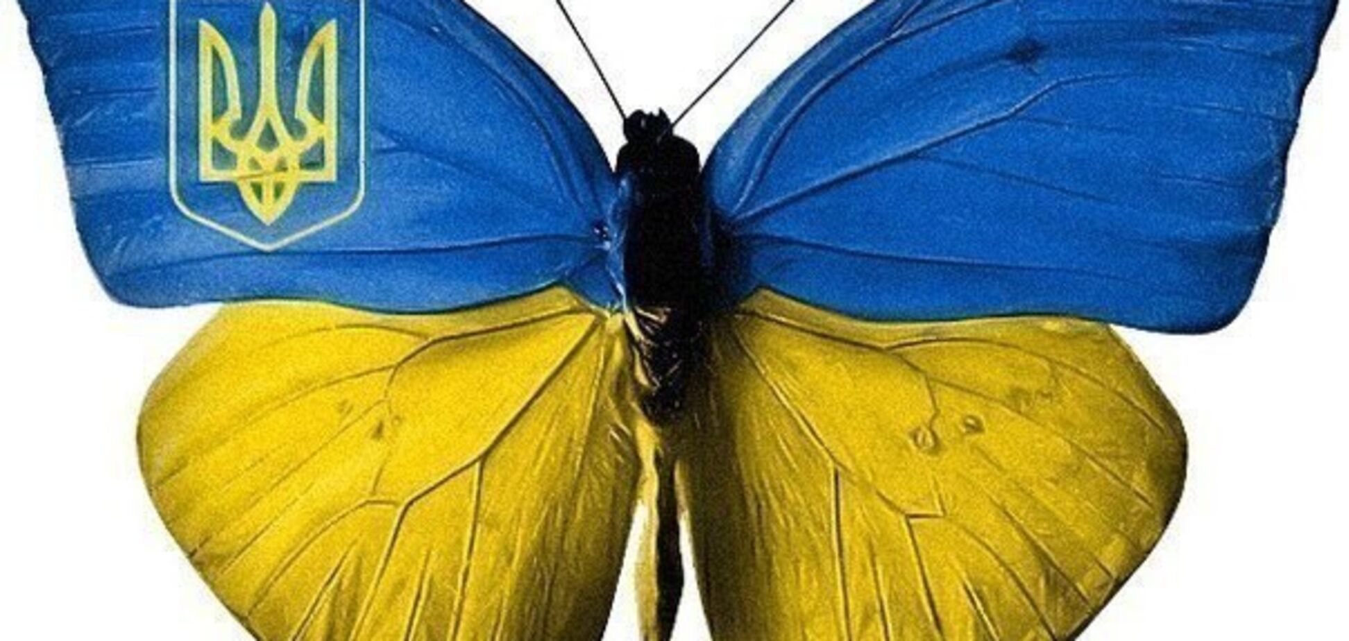 Потрібно знати не лише материнську мову, а й державну, українську