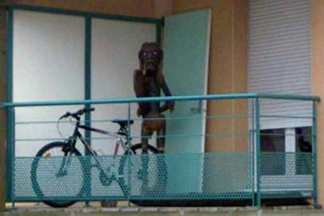 Google напугал сеть странным существом