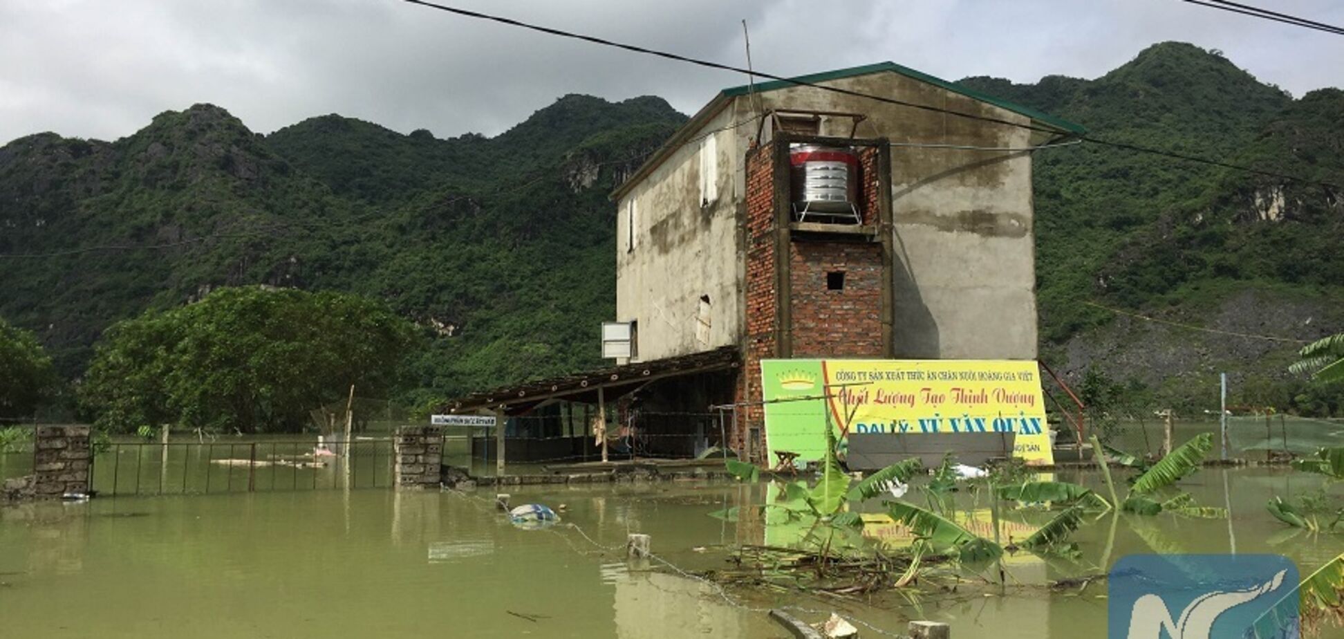 'Худшее за последние годы': на Вьетнам обрушилось наводнение, десятки жертв, тысячи домов разрушены