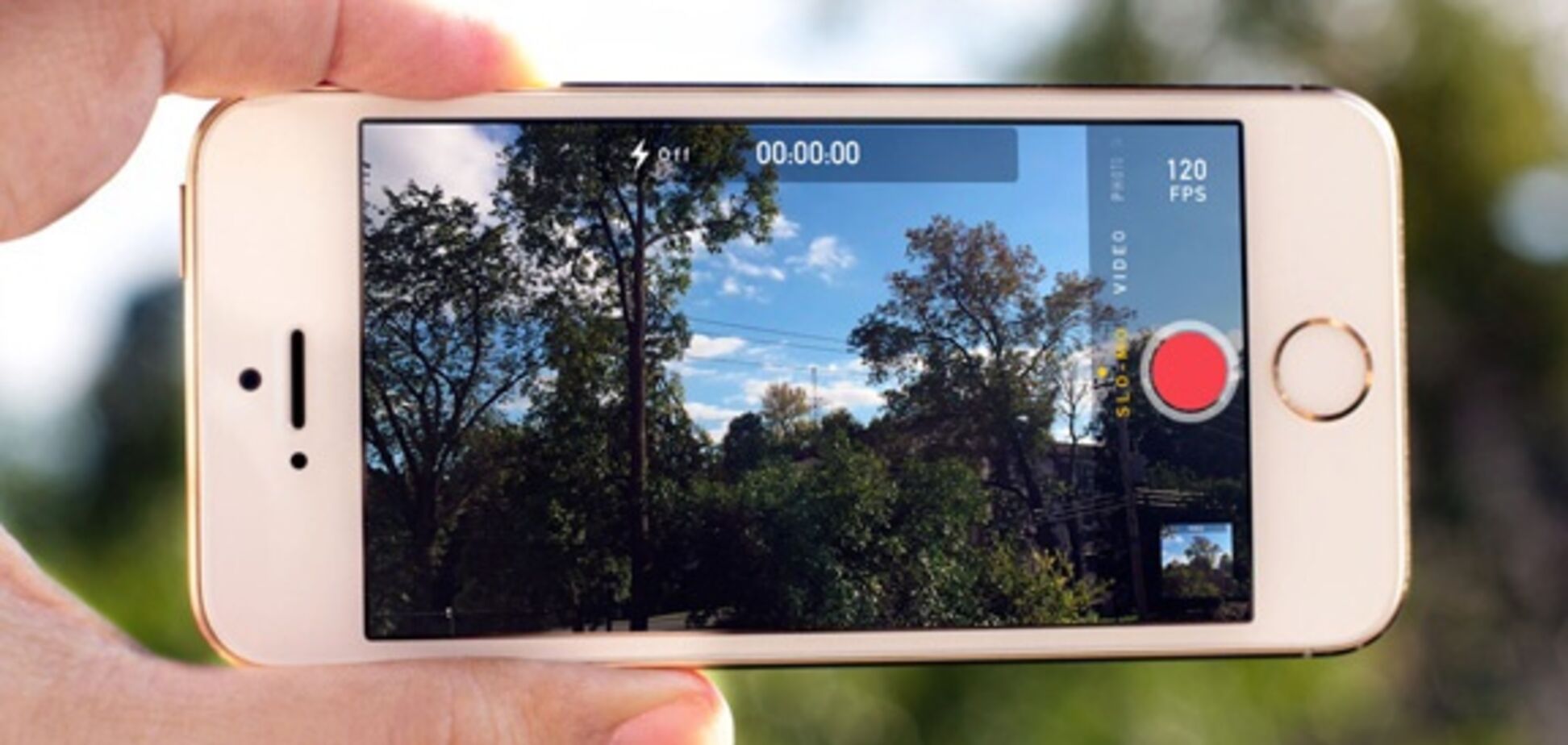 В Аргентине сняли на видео мистического монстра, 'нападающего' на детей