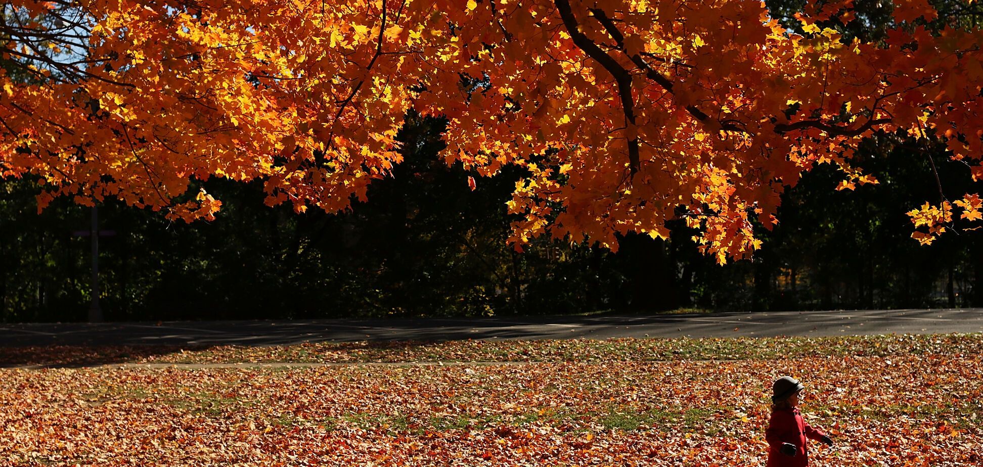Идет потепление: синоптики рассказали, когда изменится погода в Украине