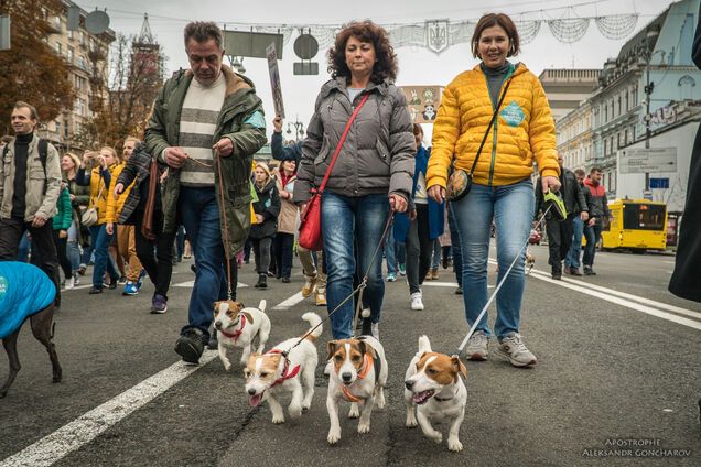 Марш за права животных
