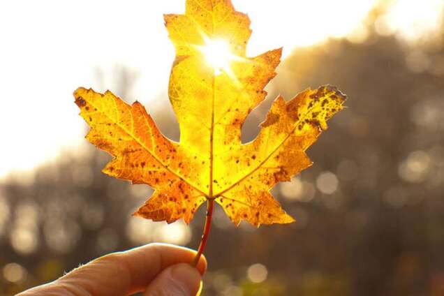 До +25: в Украину вернется летняя погода