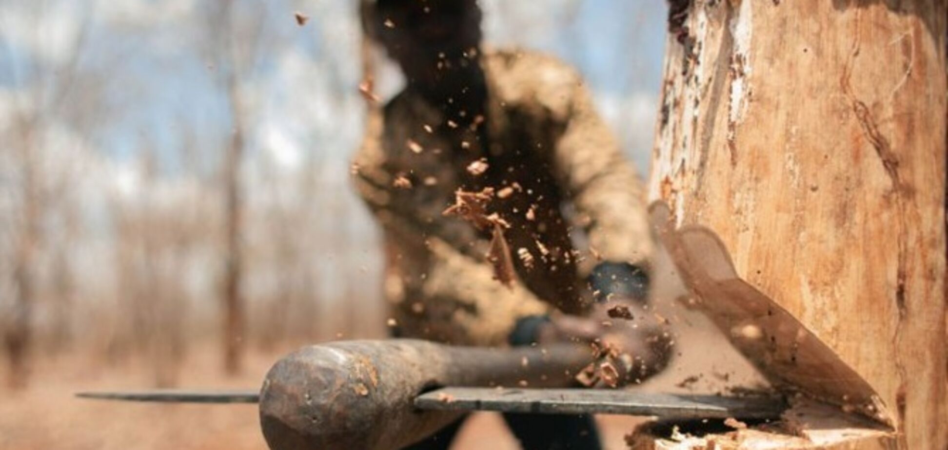 Черные лесорубы