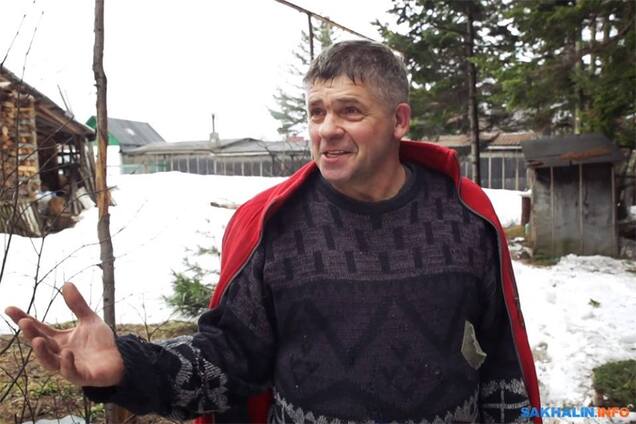 Как три злобные бабы помешали высаживать кедры в России