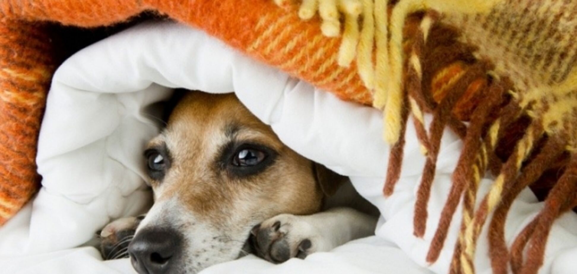 Замерзли? В Киеве назвали новые сроки подключения тепла в жилых домах