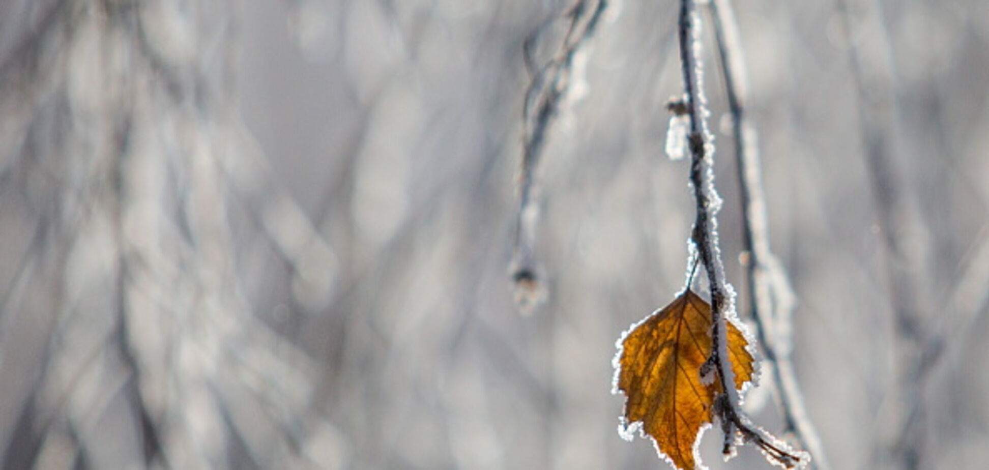 В Украине ударят морозы: синоптики предупредили о резком температурном скачке