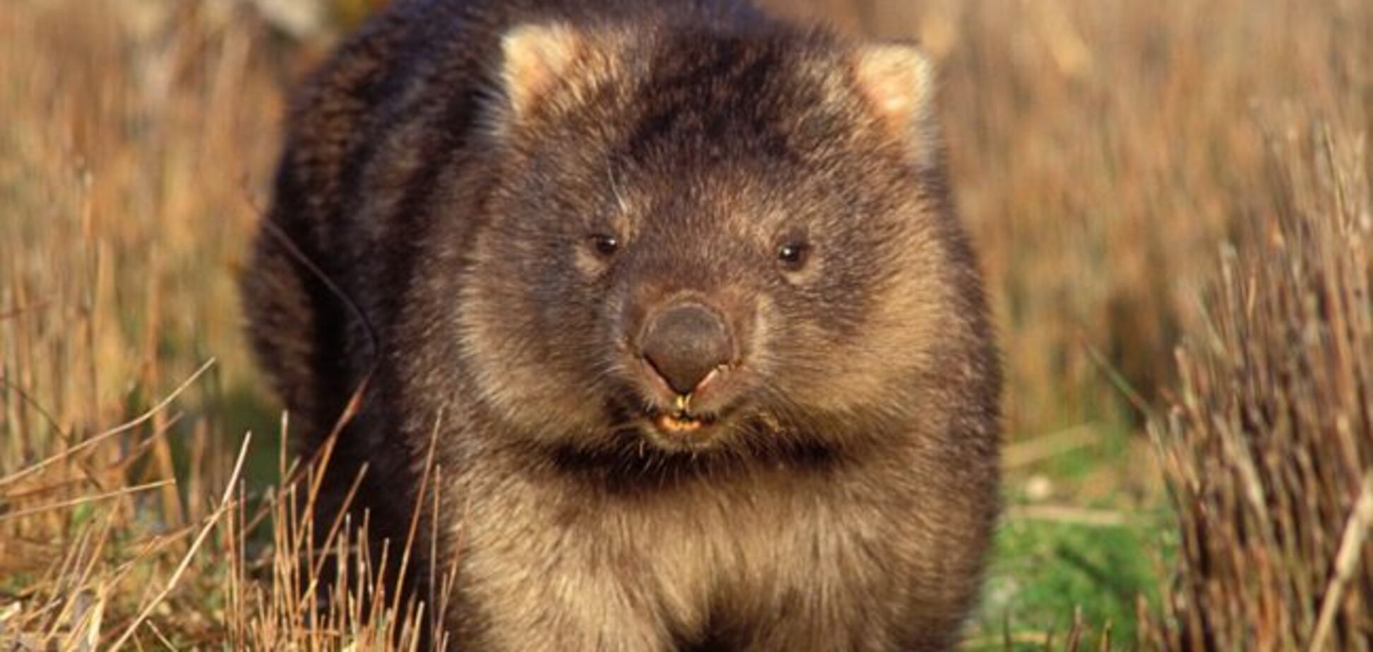 22 октября: какой сегодня праздник