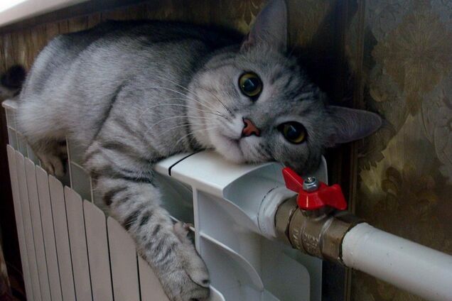 В Европе даже миллионеры экономят, а мы хотим зимой в трусах ходить