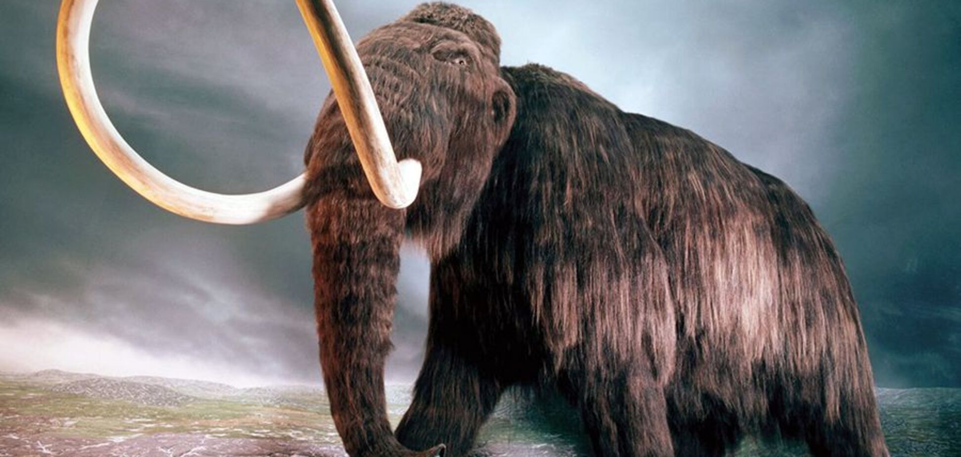 На запорожском курорте нашли останки крупного ископаемого животного (ФОТО)