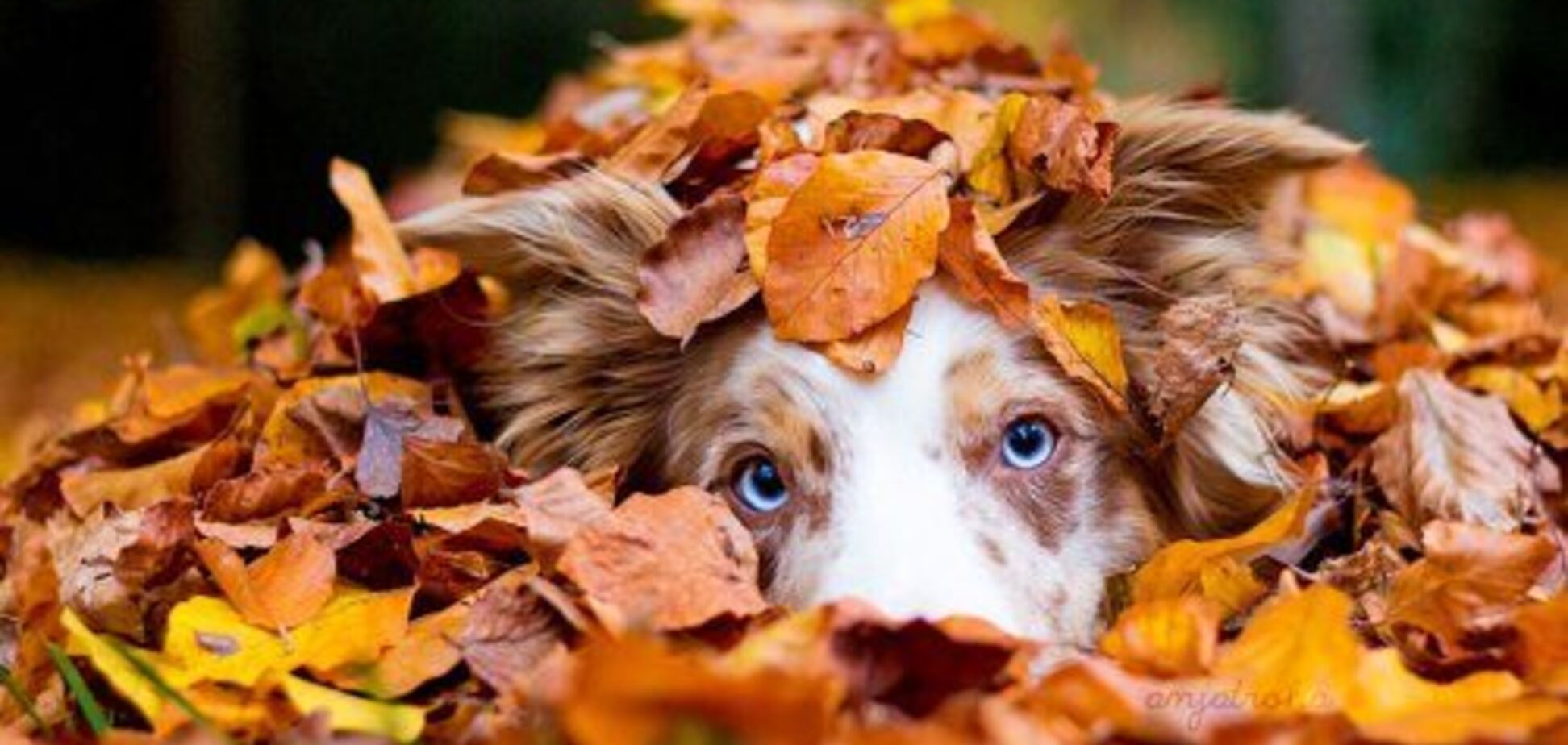 Пора утепляться? Синоптики рассказали, какая погода ждет Киев на этой неделе